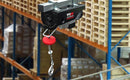 Warrior 500kg Electric Hoist